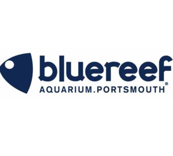 Blue Reef Aquarium Portsmouth
