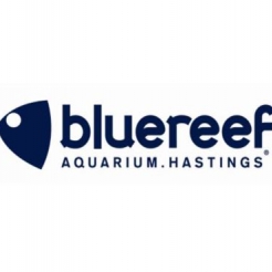 Blue Reef Aquarium Hastings